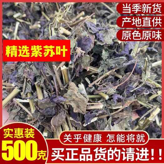 玉林紫苏叶中药材广西紫苏叶中药新鲜食用干货泡脚去腥烧鱼虾调料