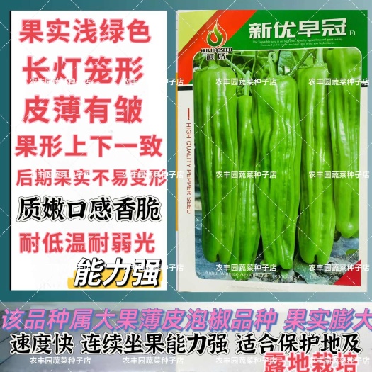 沭阳县徽娇新优早冠辣椒种子浅绿色长灯笼形辣椒种子大果型薄皮泡椒种子