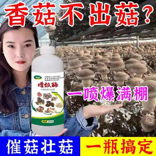 栾川县一喷猛出菇】香菇增产素增效酶香菇菌棒营养液强力催菇王促菇猛长
