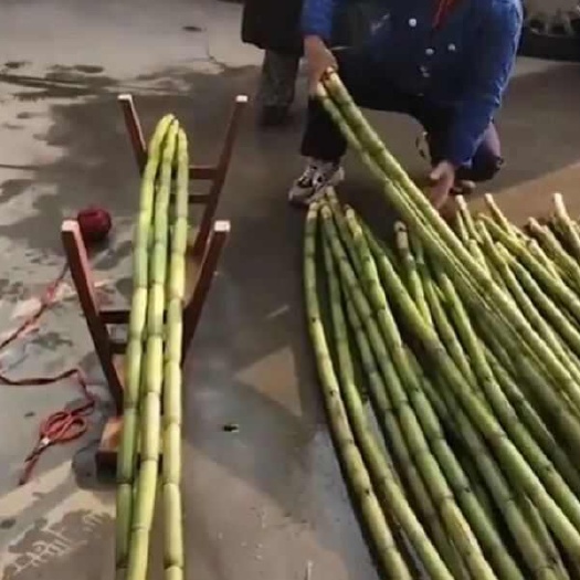 甘蔗