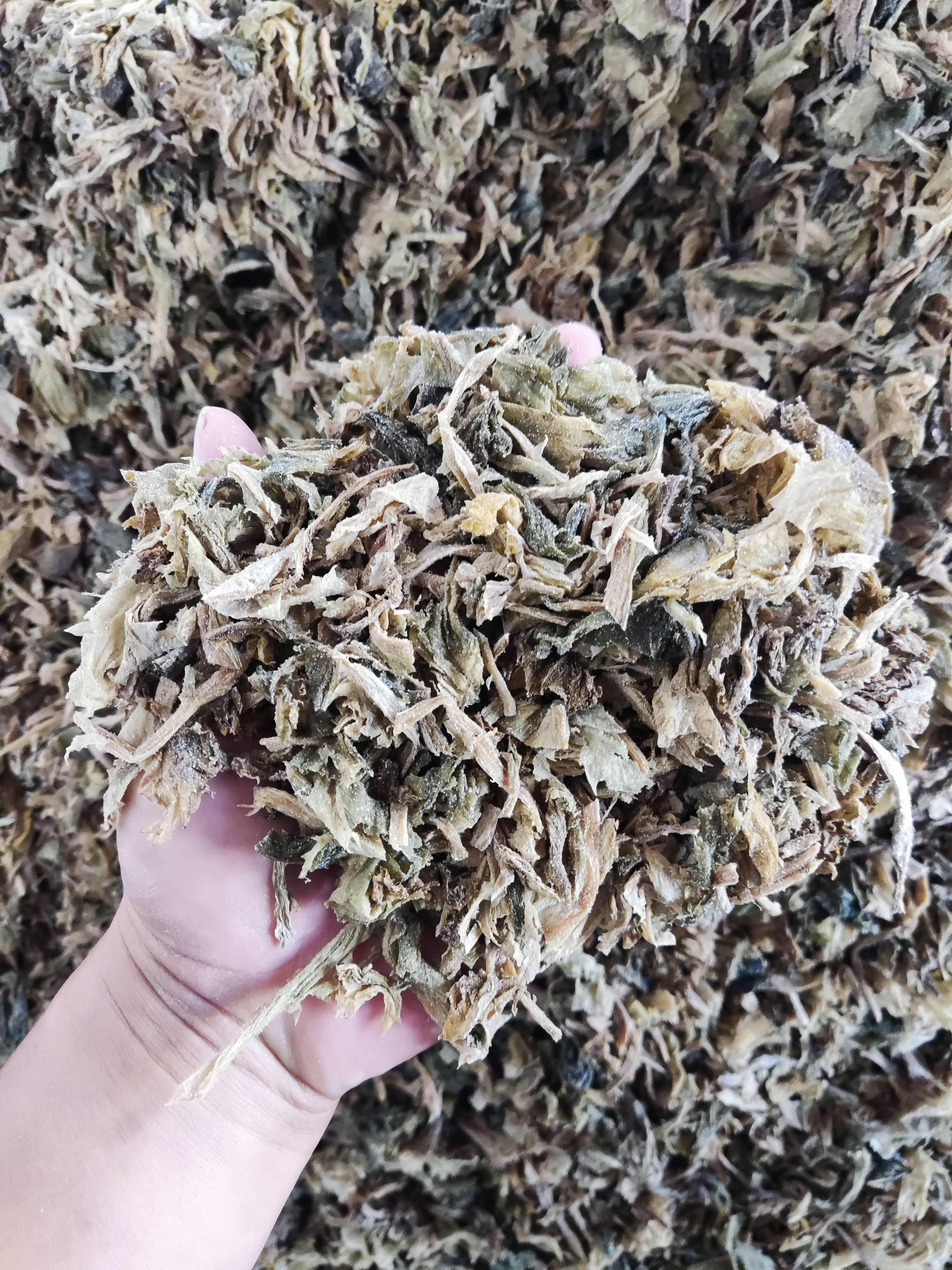 浙江产老绍兴雪里蕻切碎梅干菜