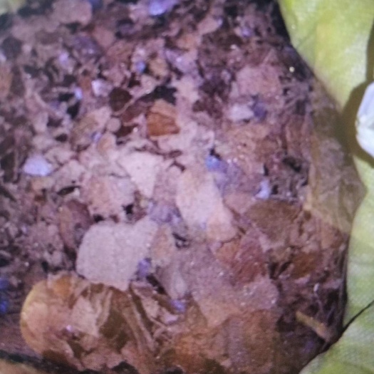 盂县菜籽饼粕饲料，大量有货。