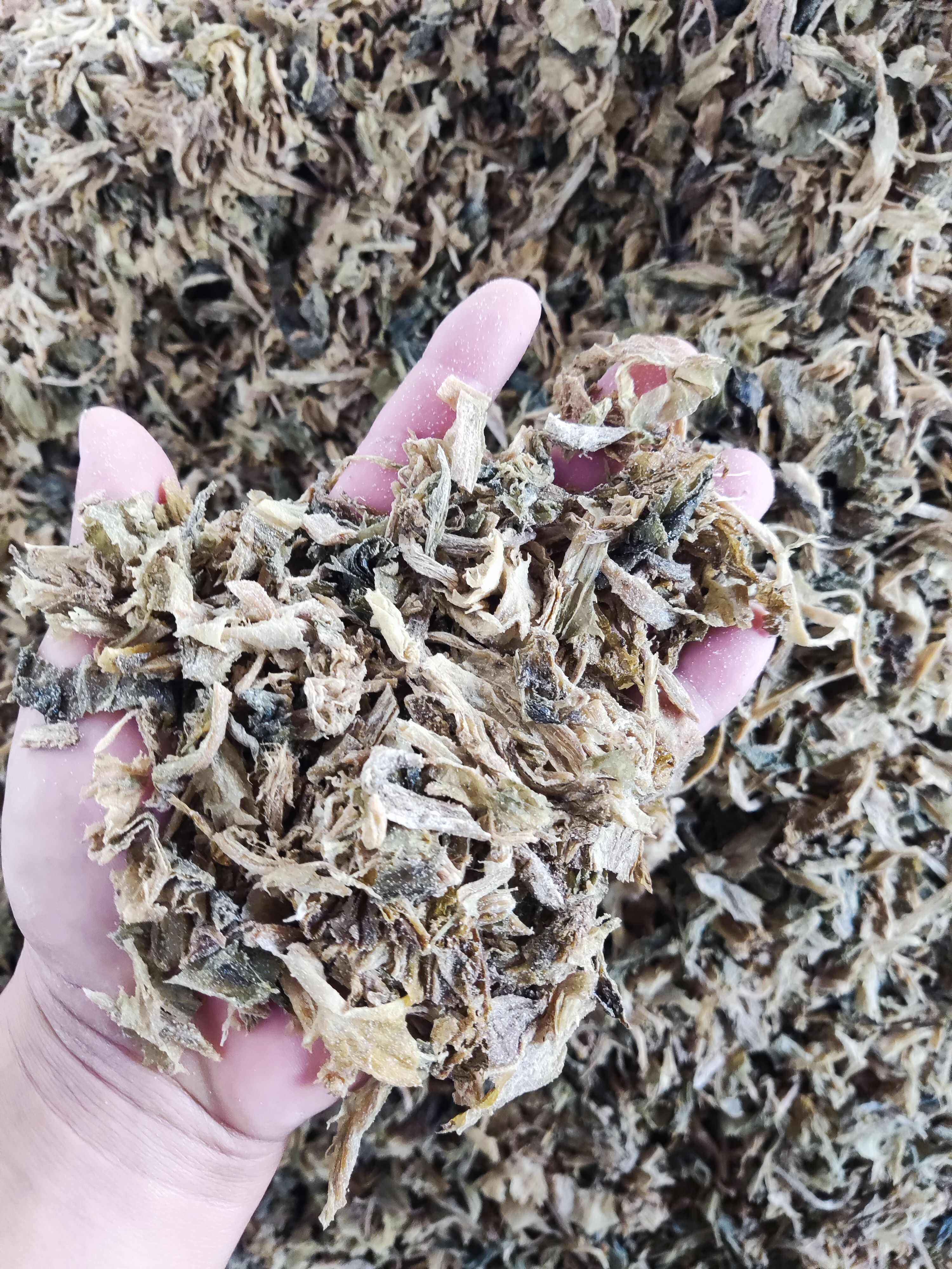 浙江产老绍兴雪里蕻切碎梅干菜