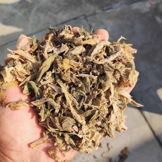 余姚市浙江产老绍兴雪里蕻切碎梅干菜