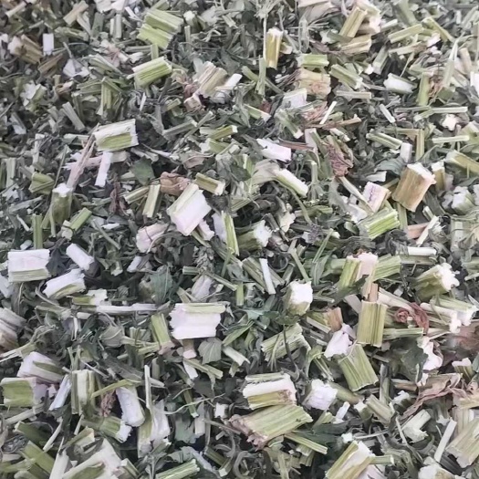 益母草