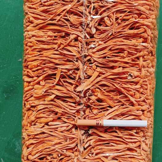 东北虫草花排草对排虫草花无硫现烘现发包邮