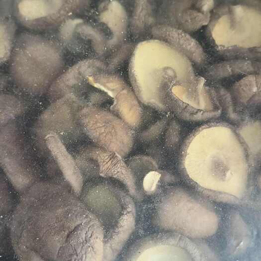 随县香菇