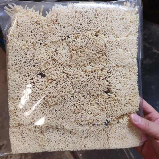 广州灯芯草中药材 广州荔湾发货 新鲜优质