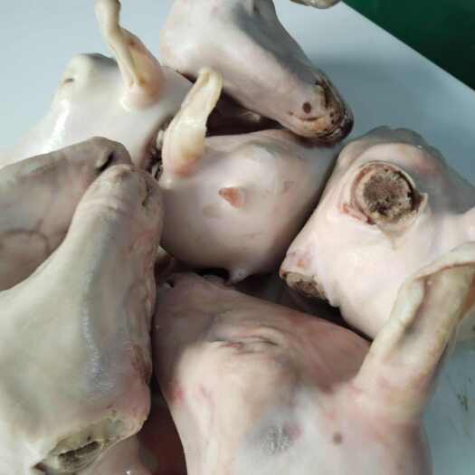 阳信县麻辣专用羊头，火烧羊头，水退羊头，大小规格齐全。