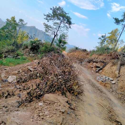 重庆市耕地，山地，农户承包地流转