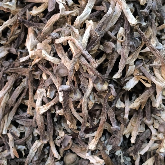 衡东县鹿茸菇干品24年新货切根，干度好，工厂直发