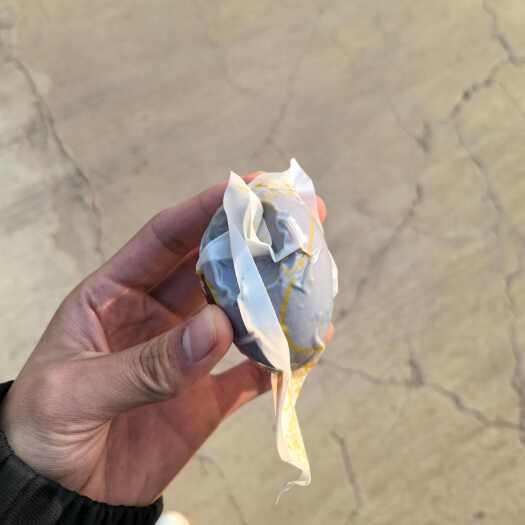 任丘市白洋淀破壳咸鸭蛋烤鸭蛋