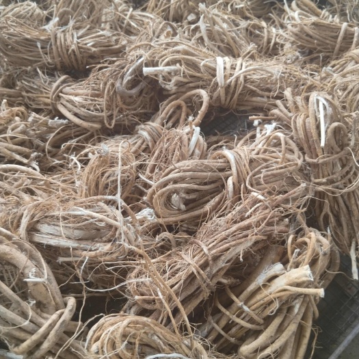 五指毛桃干货