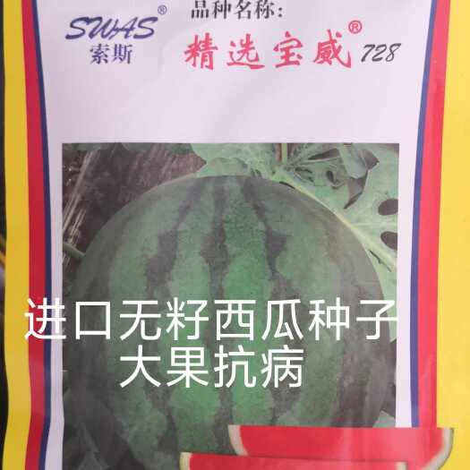 扶沟县宝威无籽西瓜种子东方正大大果单瓜24公斤耐热耐低温耐裂高