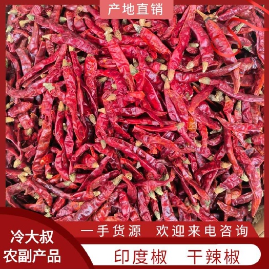 丘北县印度干辣椒/印度魔鬼辣/印度S17/印度小米辣