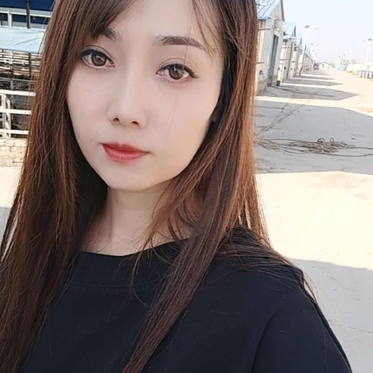 海兴县羊粪蛋 羊粪球