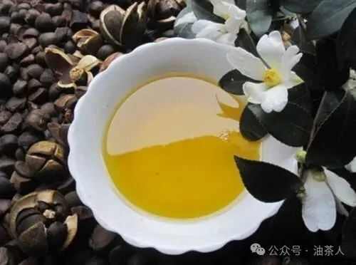 优质湖南邵东油茶籽 新鲜发货 10kg装