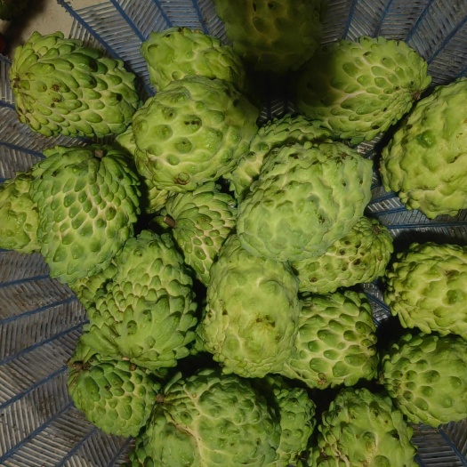 南宁精品凤梨释迦果