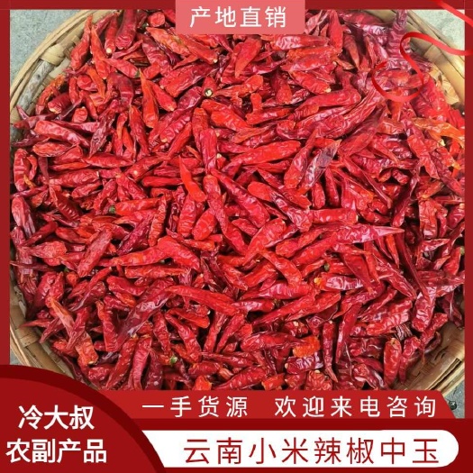 丘北县云南小米辣/越南小米辣/椒中玉/2024新货