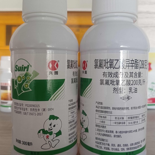 288克/升氯氟吡氧乙酸异辛酯除猪秧秧猫眼儿牛繁缕等阔叶草
