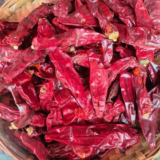 昆明红龙大椒/板椒/2024新货