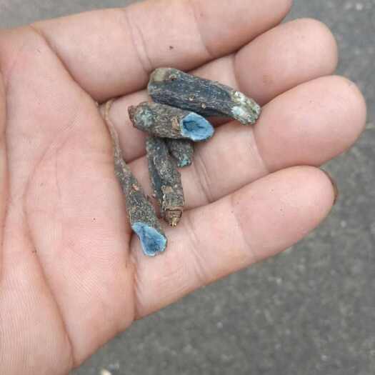 德昌县双参 太阳晒干货