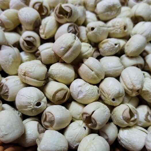 东莞市农家莲子，去芯白莲，柴火烘干，干货