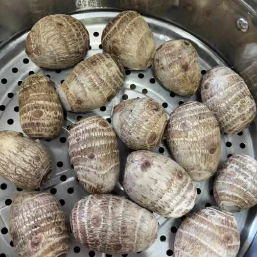 平乐县大量芋头批发
