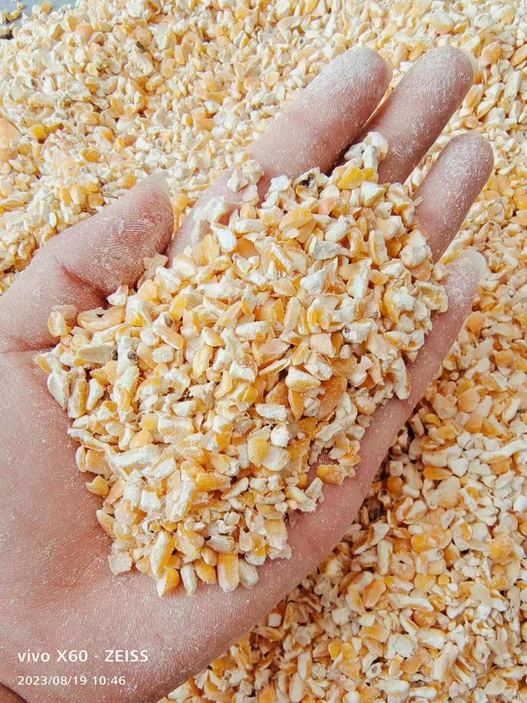 干玉米,碎玉米,玉米碎,养殖碎玉米,净粮碎玉米