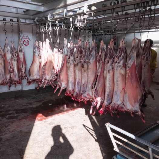 山羊肉