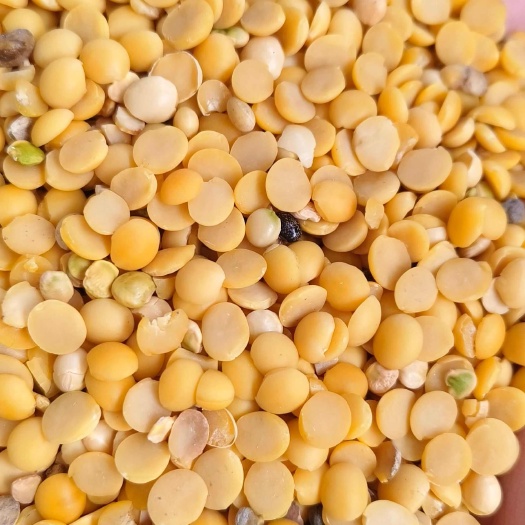襄汾县高蛋白豆瓣豆腐