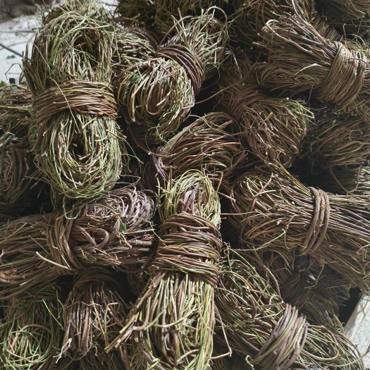玉林鸡骨草  无叶干草  无硫足干易储存不发霉 产地直销一手货源