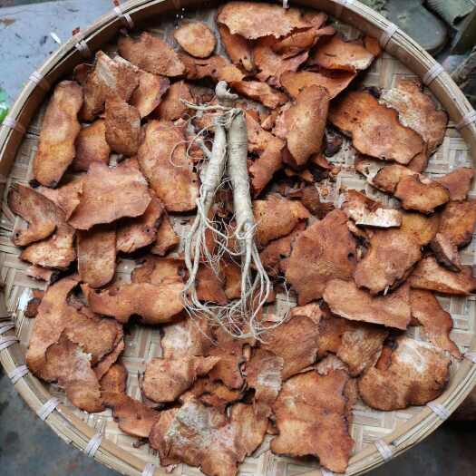 遂溪县饭铲头