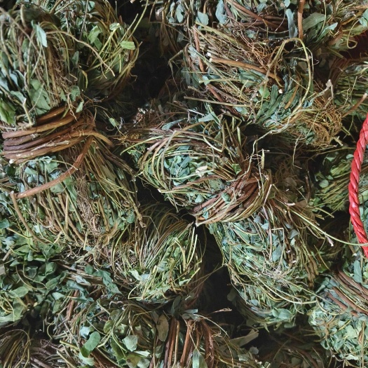 鸡骨草 带叶干草 小捆 无硫