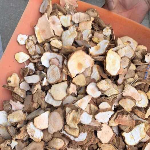 邵东市土茯苓，新货，价格便宜