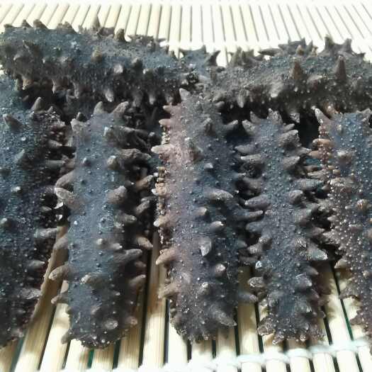 石家庄淡干A1辽参