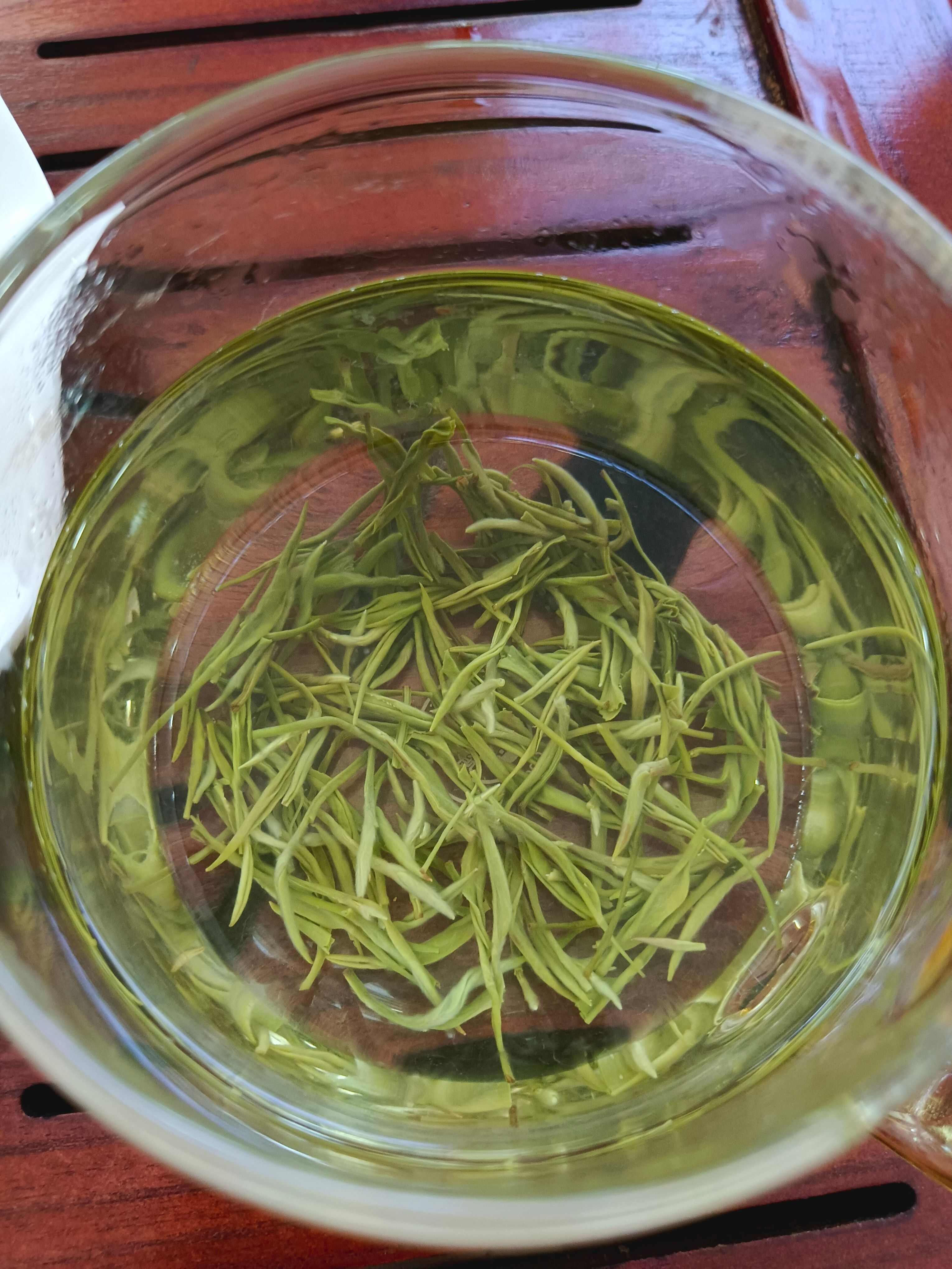 绿茶毛尖茶雪芽
