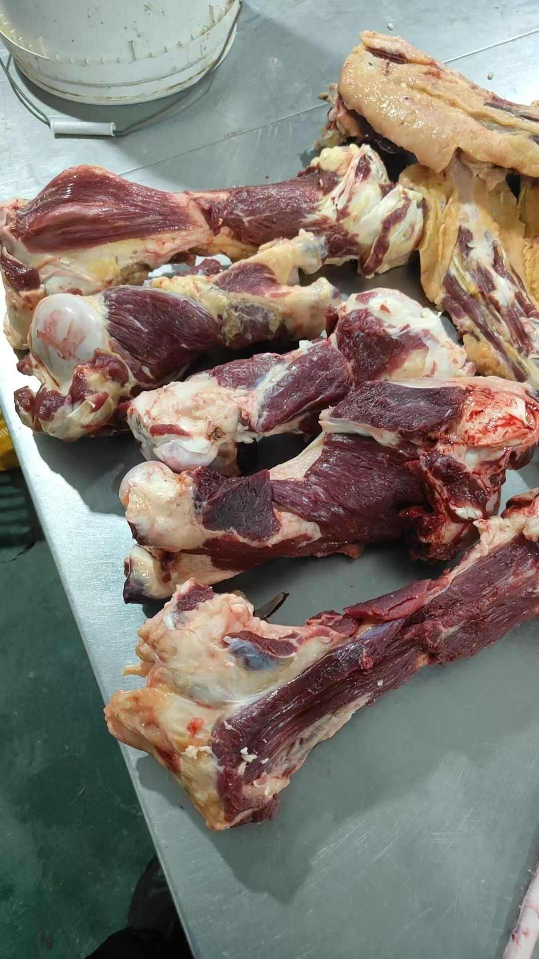 锡林浩特【牛肉棒骨】当地草原黄牛的肉大棒骨，超码屠宰场直销，免费加工