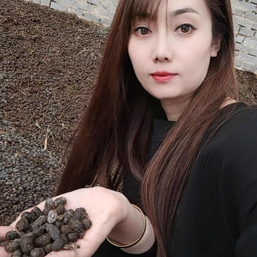 海兴县羊粪球  羊粪蛋  发酵羊粪