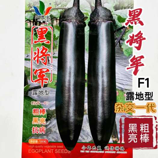 沭阳县近德豪黑将军茄子种籽黑长茄种子粗棒早中熟杂交果肉淡绿春秋露地