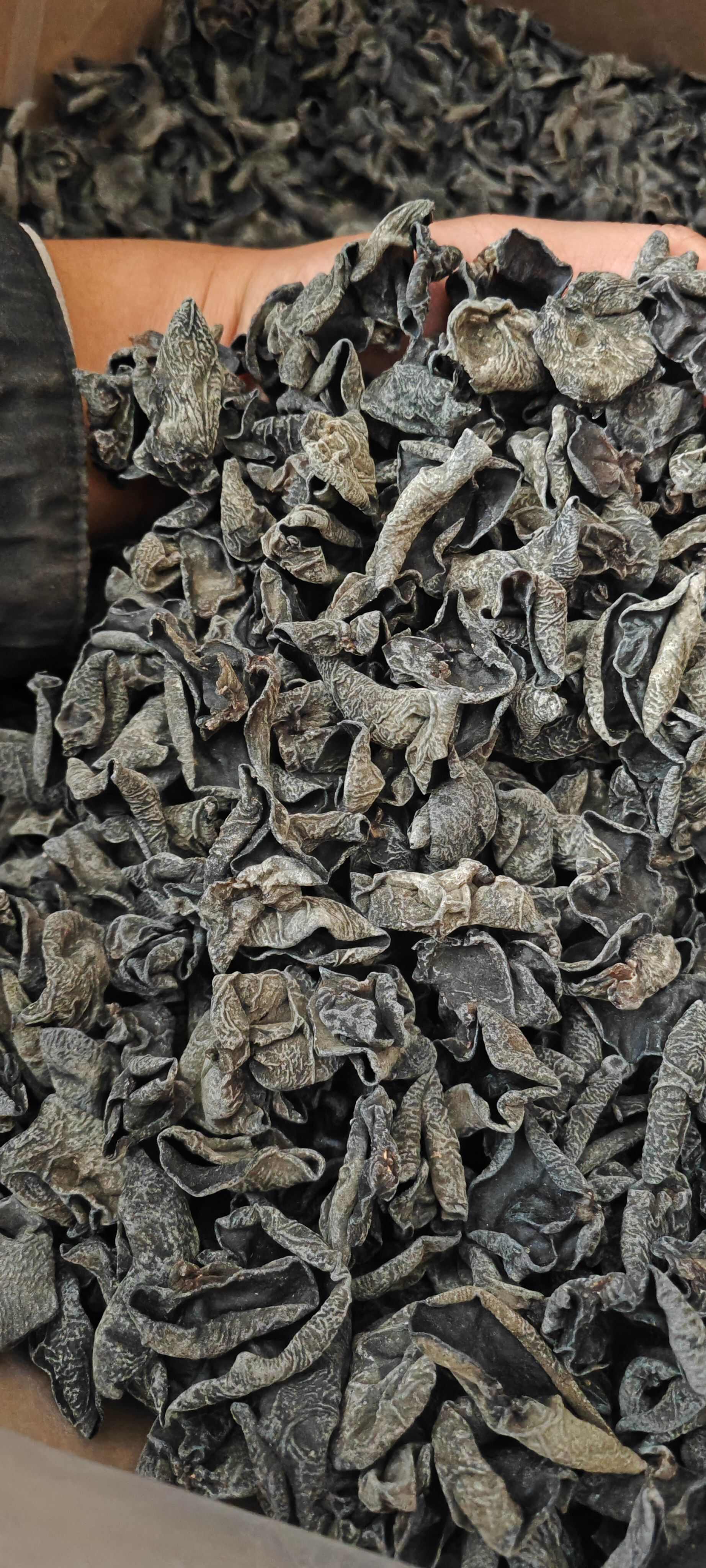 可电商代发 东北黑木耳干货批发肉厚无根小碗耳 赶场出摊电商