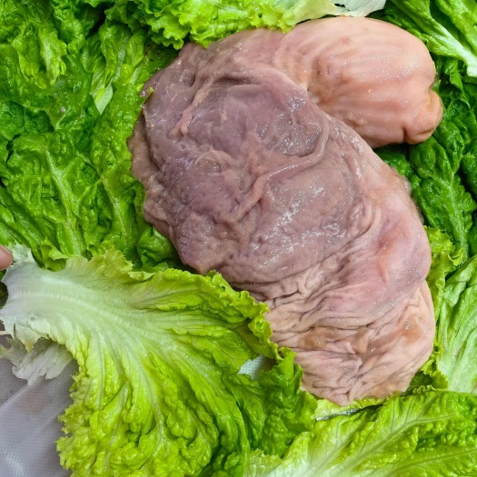 少油纯干猪肚，个头大肉厚。