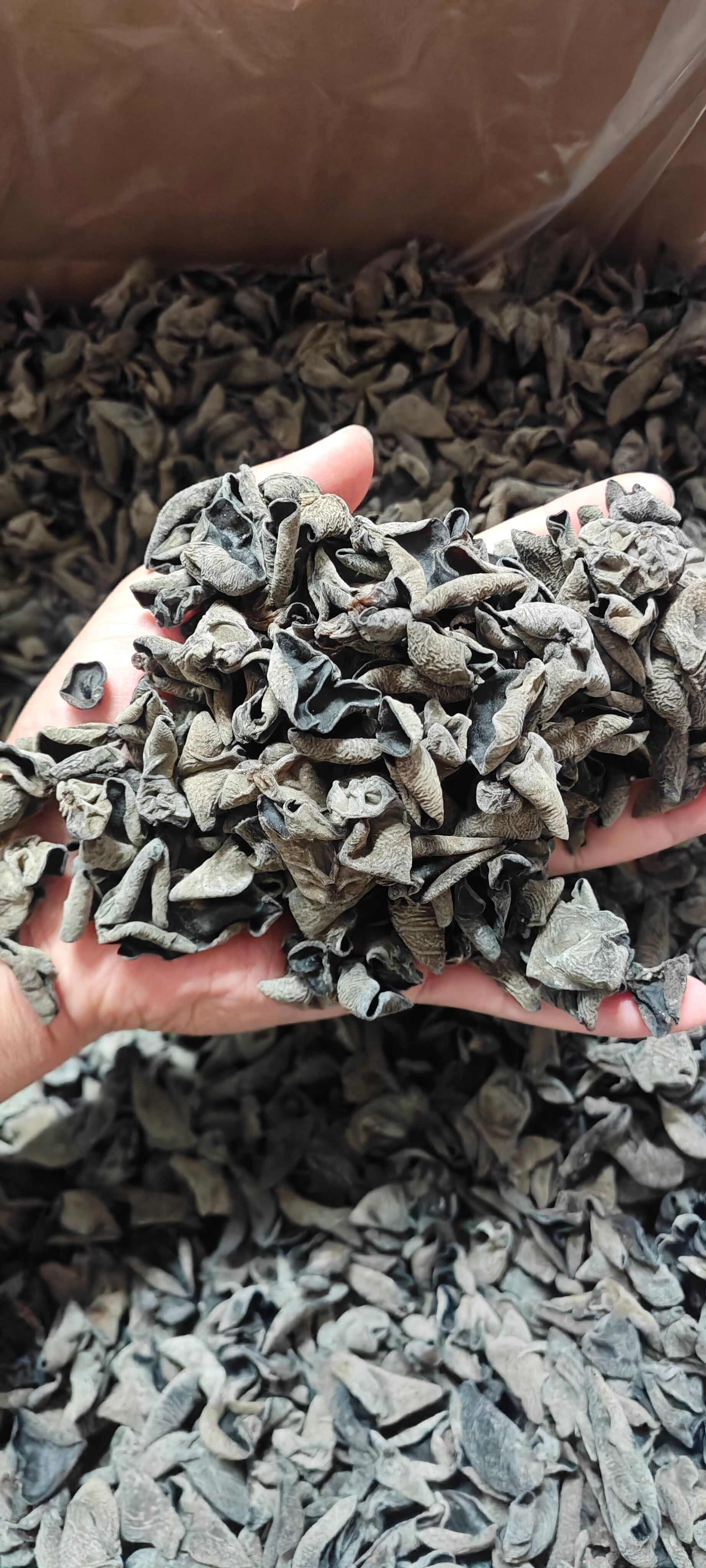 【热销榜首】东北黑木耳干货 摆摊小碗耳秋耳黑厚无根电商可代发