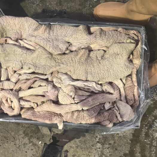 牛大肠  牛肠头 碗口
