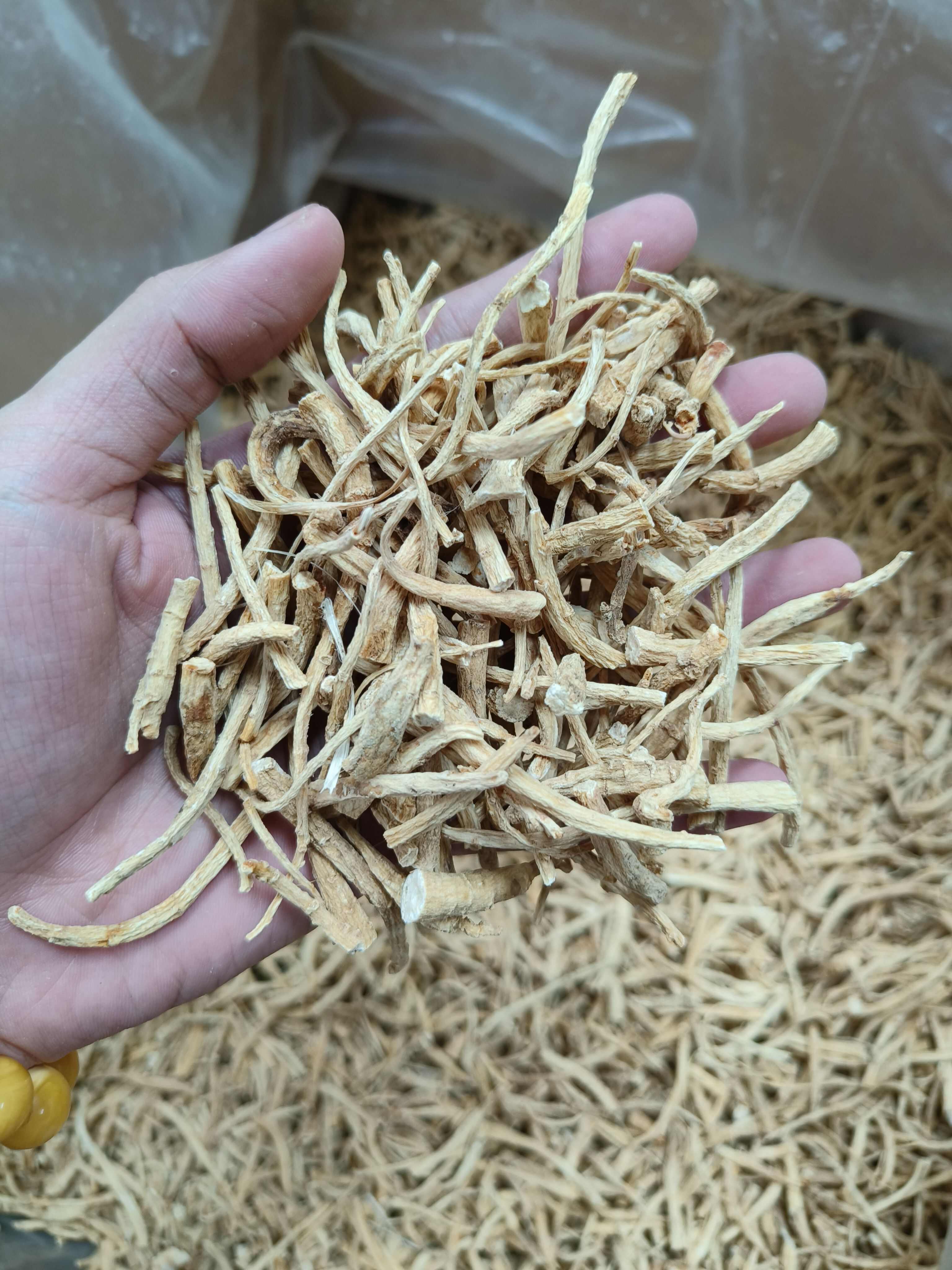 加拿大西洋参须参丁 粗须小节打粉料