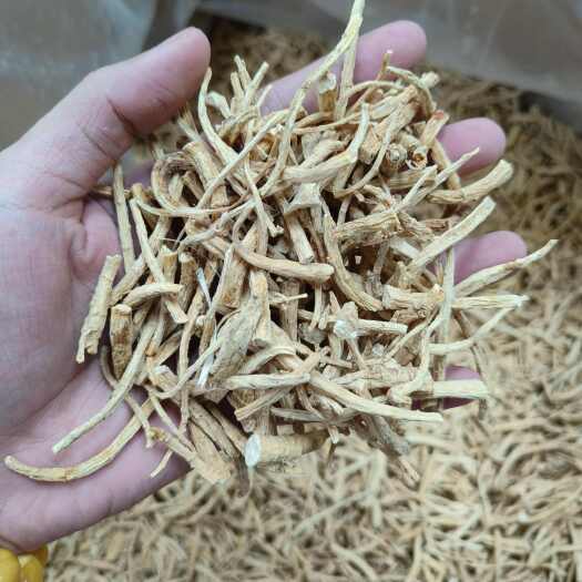 普宁市加拿大西洋参须参丁 粗须小节打粉料