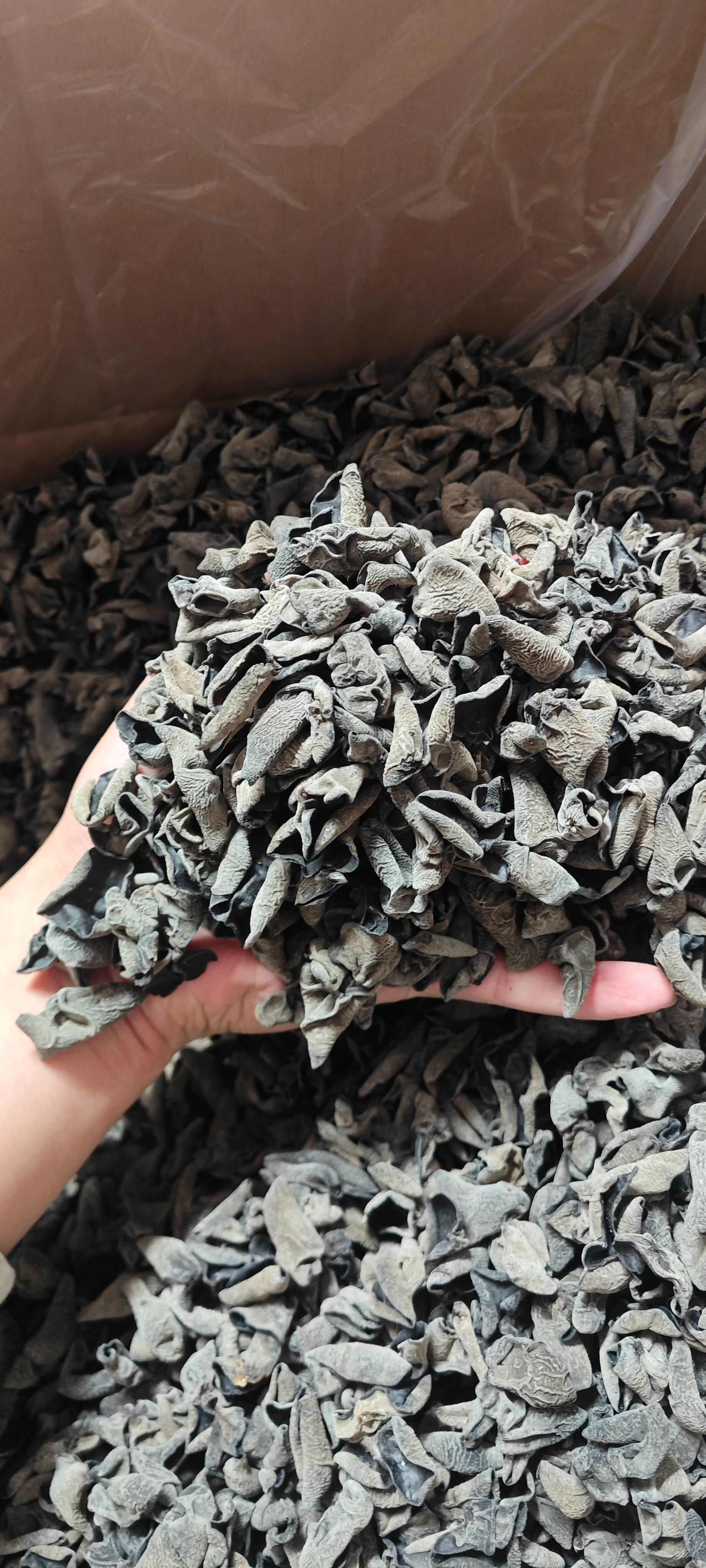 【热销榜首】东北黑木耳干货 摆摊小碗耳秋耳黑厚无根电商可代发