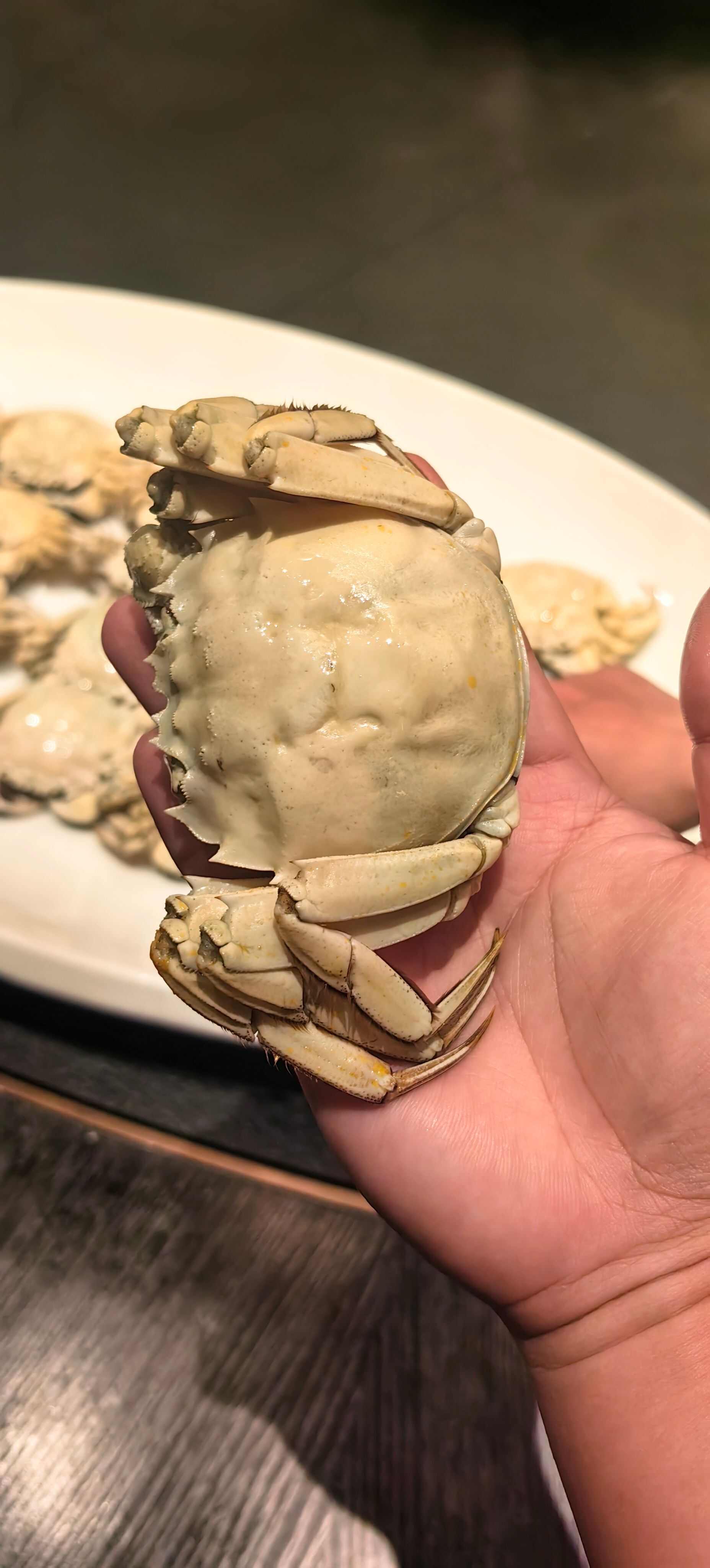 臻品白玉蟹