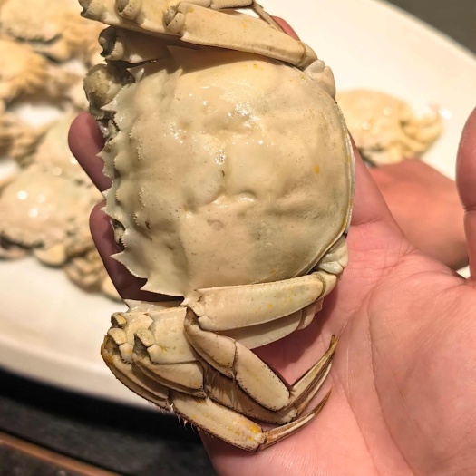 臻品白玉蟹