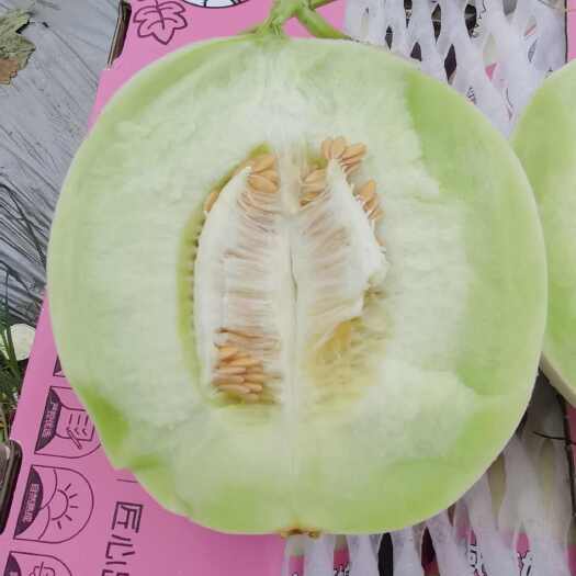 乐东县【诚信商家】海南产地 玉菇瓜